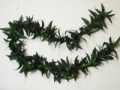 Maile Mokihana Lei